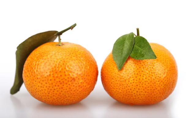 柑橘直播苹果版的叫什么柑橘直播破解版-第9张图片-太平洋在线下载
