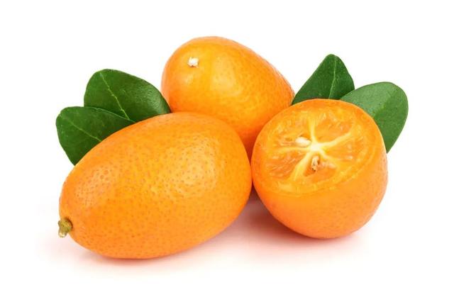 柑橘直播苹果版的叫什么柑橘直播破解版-第11张图片-太平洋在线下载