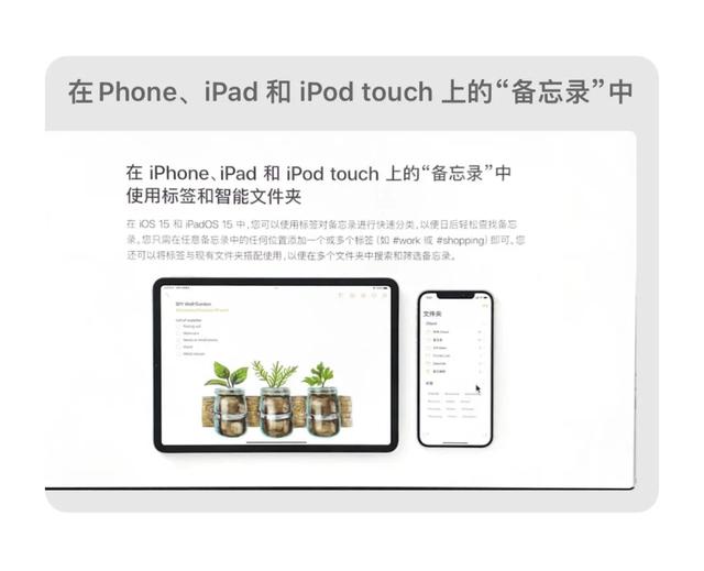 苹果手机备忘录加密怎么给备忘录加密码-第9张图片-太平洋在线下载