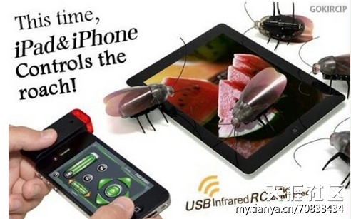 高科技，用iPhone控制的遥控蟑螂