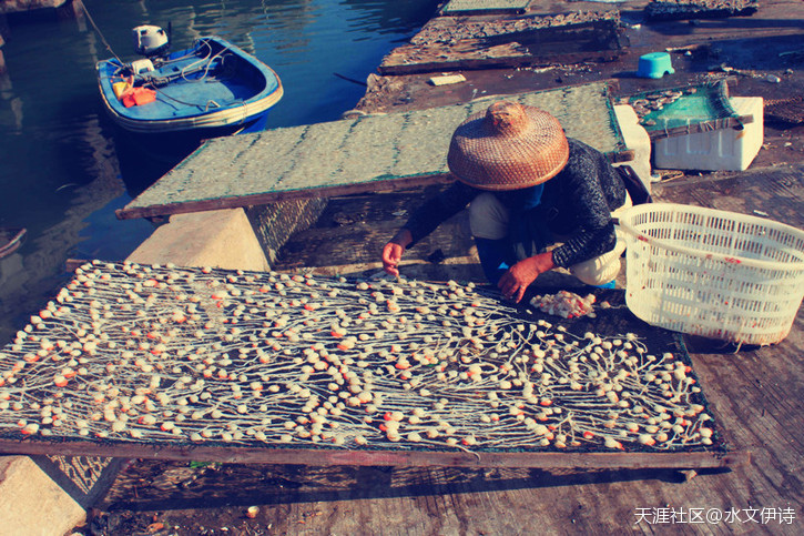 空岛小镇手机版:【品味儋州】之渔家小镇——白马井-第5张图片-太平洋在线下载
