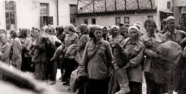 叽哩叽哩苹果版下载安装:二战苏联小兵带9个日本女战俘躲进深山，19年后，带73个子女自首