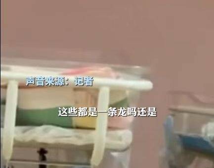微信中文版安卓下载苹果:广州一月子中心被曝涉嫌提供代孕服务，卫健委：已立案，代孕全国禁止