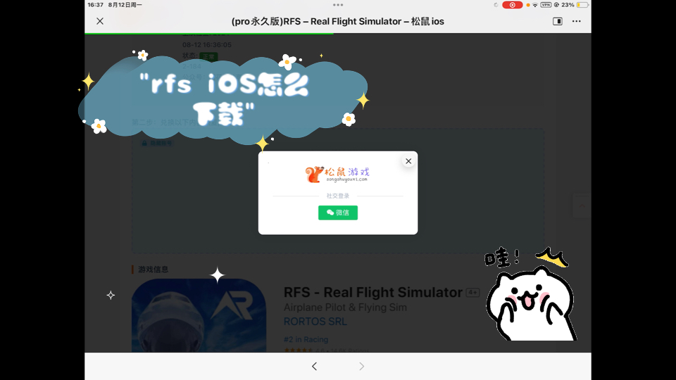 rfs免费版下载苹果版rfs模拟飞行电脑版免费破解版-第2张图片-太平洋在线下载