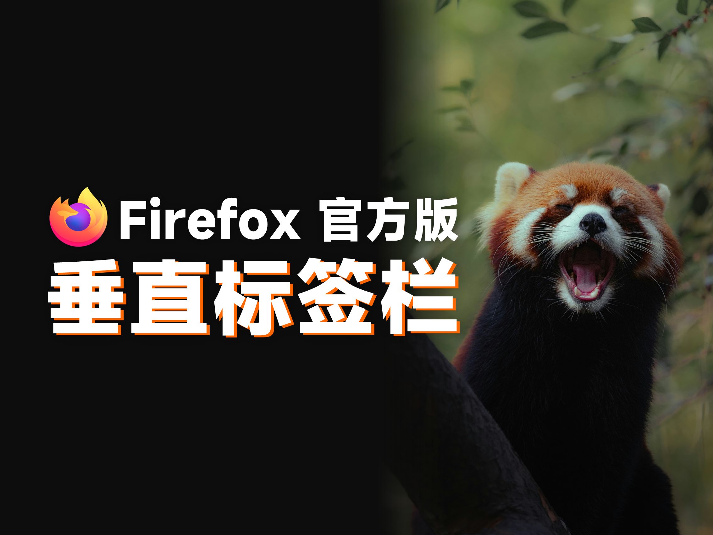 firefox安卓版测评firefoxandroid-第2张图片-太平洋在线下载